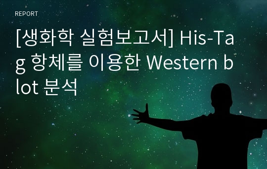 [생화학 실험보고서] His-Tag 항체를 이용한 Western blot 분석