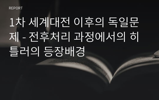 1차 세계대전 이후의 독일문제 - 전후처리 과정에서의 히틀러의 등장배경