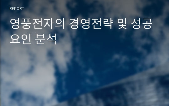 영풍전자의 경영전략 및 성공요인 분석