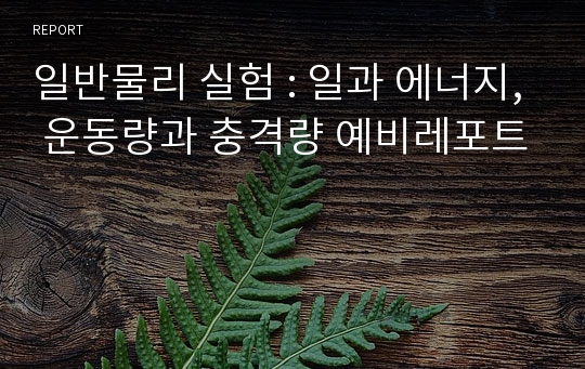 일반물리 실험 : 일과 에너지, 운동량과 충격량 예비레포트