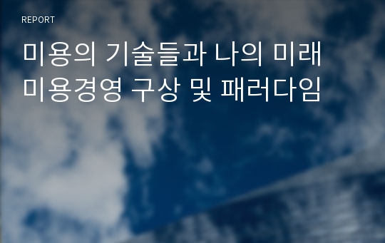 미용의 기술들과 나의 미래 미용경영 구상 및 패러다임