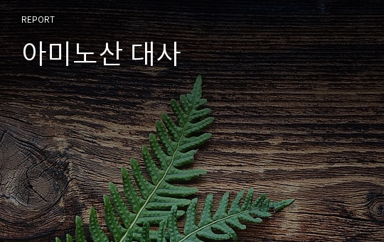 아미노산 대사