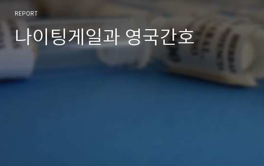 나이팅게일과 영국간호