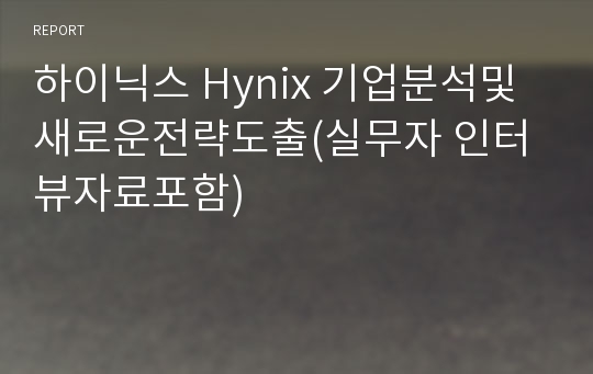 하이닉스 Hynix 기업분석및 새로운전략도출(실무자 인터뷰자료포함)