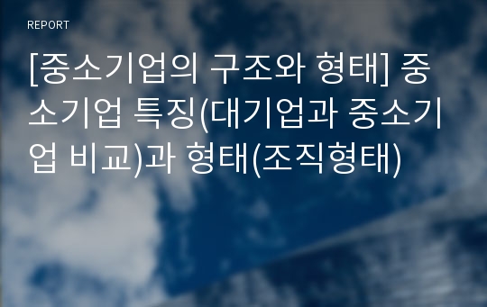 [중소기업의 구조와 형태] 중소기업 특징(대기업과 중소기업 비교)과 형태(조직형태)