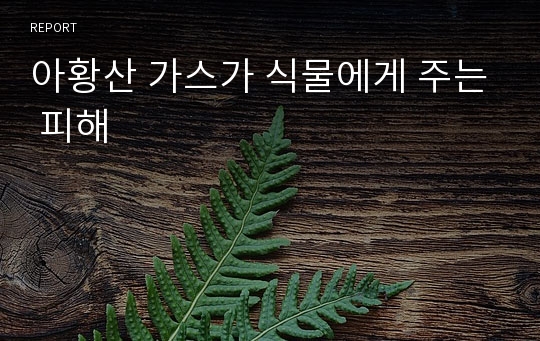 아황산 가스가 식물에게 주는 피해