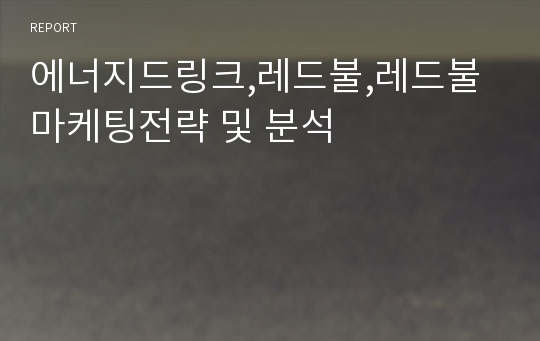 에너지드링크,레드불,레드불 마케팅전략 및 분석