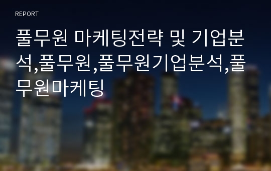 풀무원 마케팅전략 및 기업분석,풀무원,풀무원기업분석,풀무원마케팅