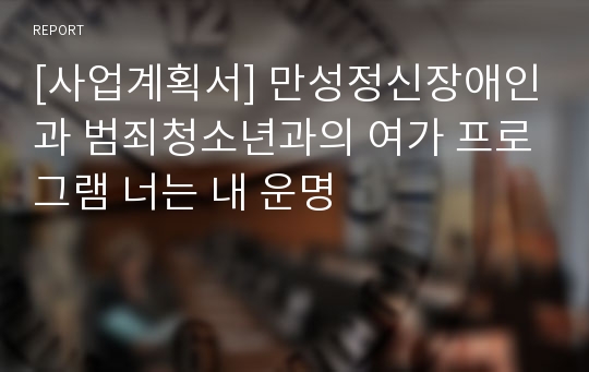 [사업계획서] 만성정신장애인과 범죄청소년과의 여가 프로그램 너는 내 운명