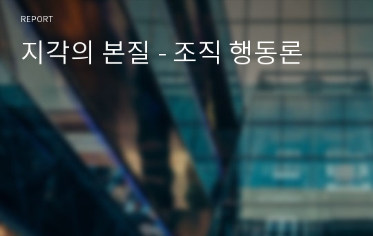 지각의 본질 - 조직 행동론