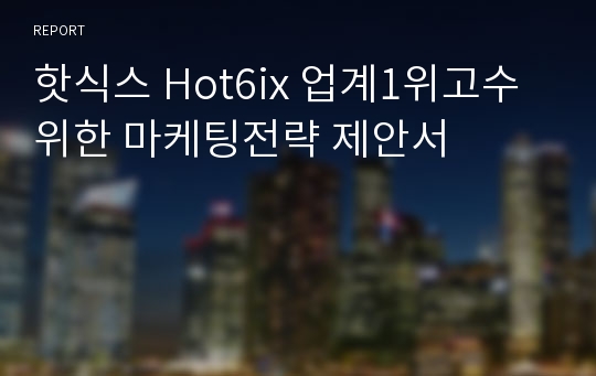 핫식스 Hot6ix 업계1위고수위한 마케팅전략 제안서