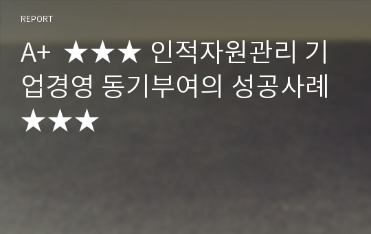 A+  ★★★ 인적자원관리 기업경영 동기부여의 성공사례 ★★★