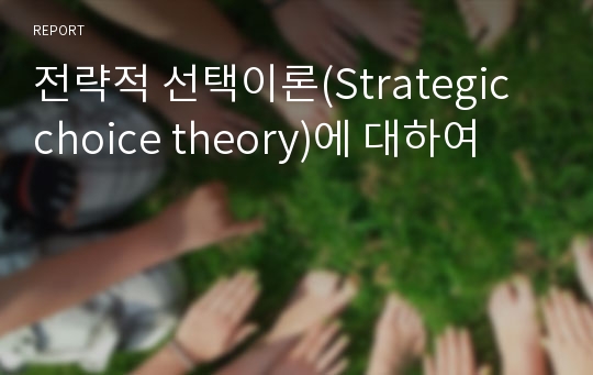 전략적 선택이론(Strategic choice theory)에 대하여