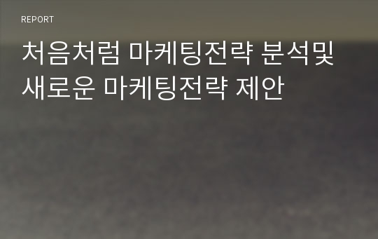 처음처럼 마케팅전략 분석및 새로운 마케팅전략 제안