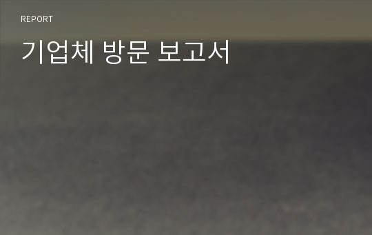 기업체 방문 보고서