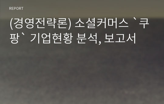 (경영전략론) 소셜커머스 `쿠팡` 기업현황 분석, 보고서