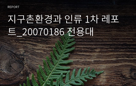 지구촌환경과 인류 1차 레포트_20070186 전용대