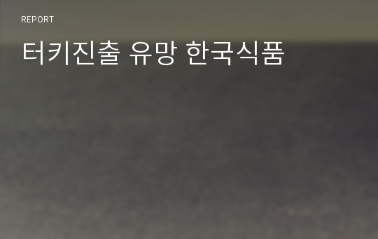 터키진출 유망 한국식품