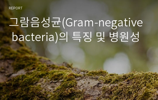 그람음성균(Gram-negative bacteria)의 특징 및 병원성