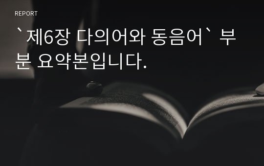 `제6장 다의어와 동음어` 부분 요약본입니다.