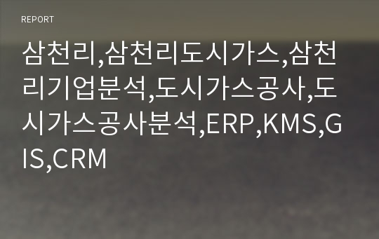 삼천리,삼천리도시가스,삼천리기업분석,도시가스공사,도시가스공사분석,ERP,KMS,GIS,CRM