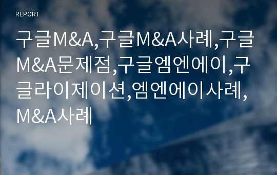 구글M&amp;A,구글M&amp;A사례,구글M&amp;A문제점,구글엠엔에이,구글라이제이션,엠엔에이사례,M&amp;A사례