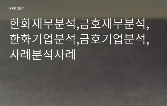 한화재무분석,금호재무분석,한화기업분석,금호기업분석,사례분석사례