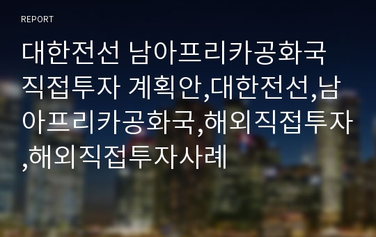 대한전선 남아프리카공화국 직접투자 계획안,대한전선,남아프리카공화국,해외직접투자,해외직접투자사례