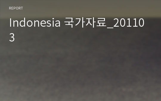 Indonesia 국가자료_201103