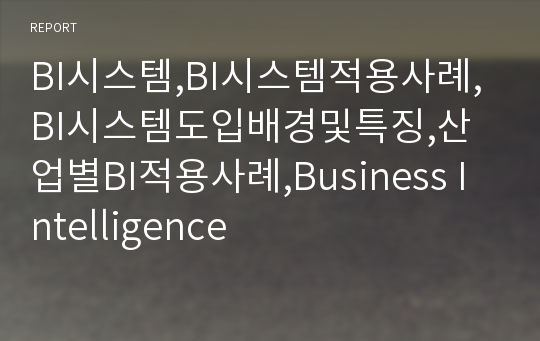 BI시스템,BI시스템적용사례,BI시스템도입배경및특징,산업별BI적용사례,Business Intelligence