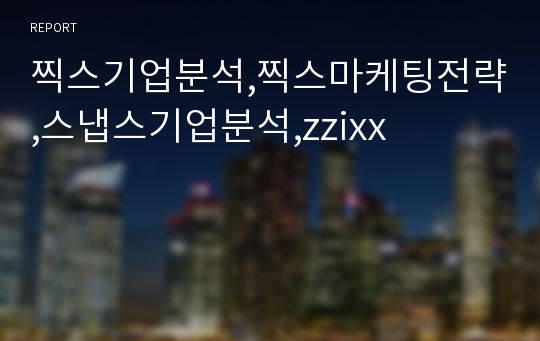 찍스기업분석,찍스마케팅전략,스냅스기업분석,zzixx