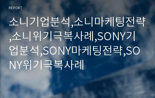 소니기업분석,소니마케팅전략,소니위기극복사례,SONY기업분석,SONY마케팅전략,SONY위기극복사례