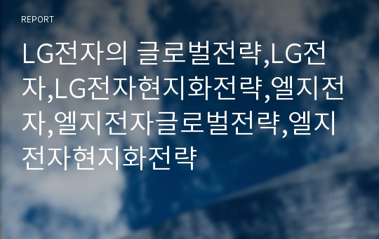 LG전자의 글로벌전략,LG전자,LG전자현지화전략,엘지전자,엘지전자글로벌전략,엘지전자현지화전략
