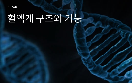 혈액계 구조와 기능