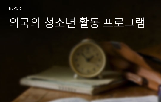 외국의 청소년 활동 프로그램