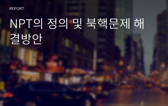 NPT의 정의 및 북핵문제 해결방안