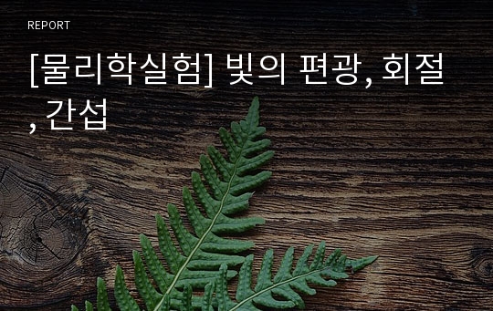 [물리학실험] 빛의 편광, 회절, 간섭