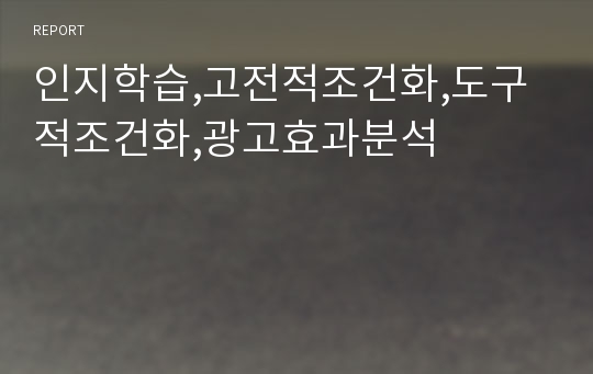 인지학습,고전적조건화,도구적조건화,광고효과분석