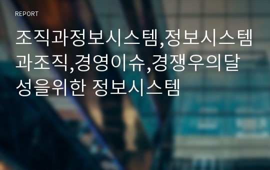 조직과정보시스템,정보시스템과조직,경영이슈,경쟁우의달성을위한 정보시스템