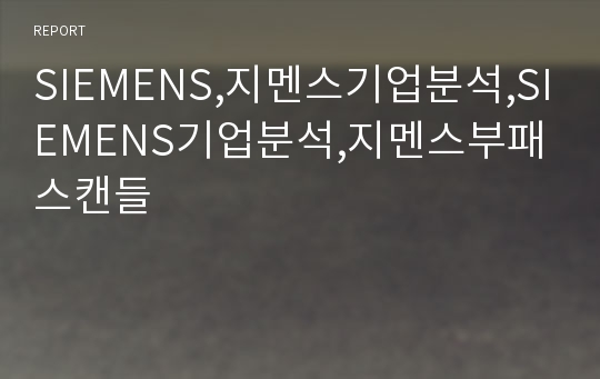 SIEMENS,지멘스기업분석,SIEMENS기업분석,지멘스부패스캔들