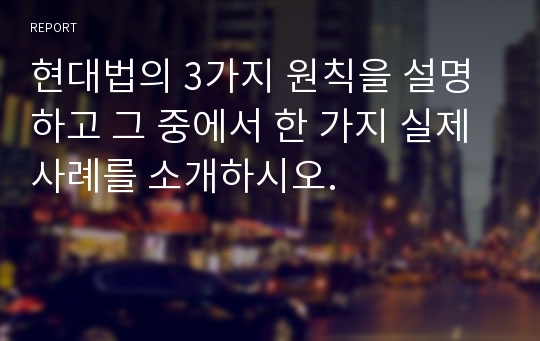 현대법의 3가지 원칙을 설명하고 그 중에서 한 가지 실제 사례를 소개하시오.