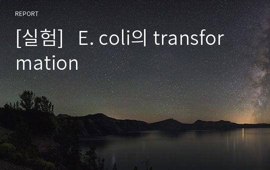 [실험]   E. coli의 transformation