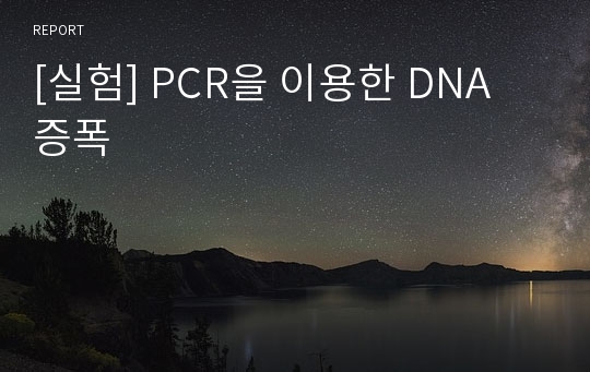 [실험] PCR을 이용한 DNA 증폭