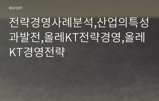 전략경영사례분석,산업의특성과발전,올레KT전략경영,올레KT경영전략