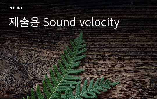 제출용 Sound velocity