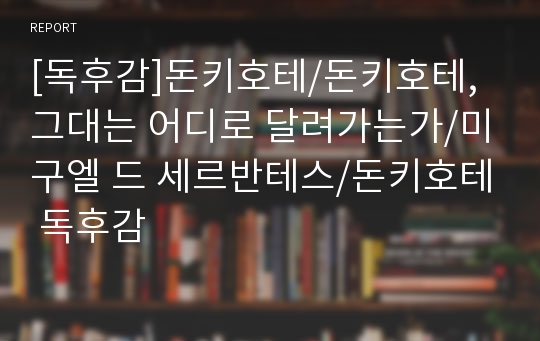 [독후감]돈키호테/돈키호테,그대는 어디로 달려가는가/미구엘 드 세르반테스/돈키호테 독후감