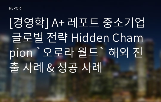 [경영학] A+ 레포트 중소기업 글로벌 전략 Hidden Champion `오로라 월드` 해외 진출 사례 &amp; 성공 사례