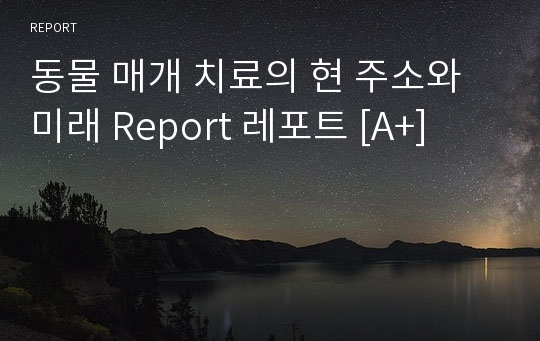 동물 매개 치료의 현 주소와 미래 Report 레포트 [A+]