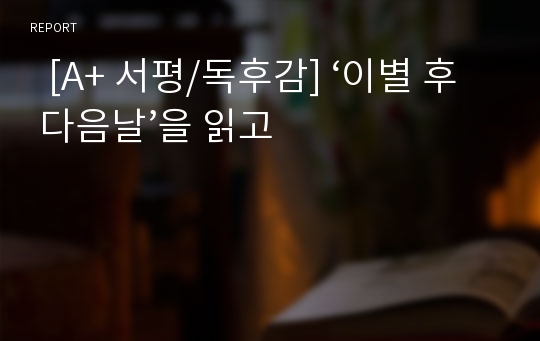   [A+ 서평/독후감] ‘이별 후 다음날’을 읽고