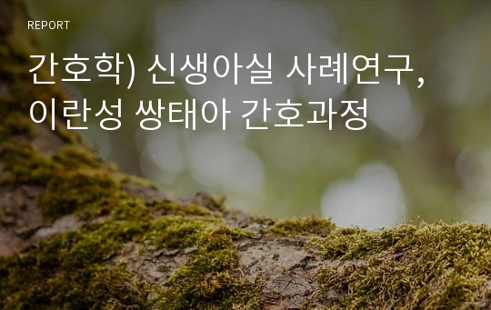 간호학) 신생아실 사례연구, 이란성 쌍태아 간호과정